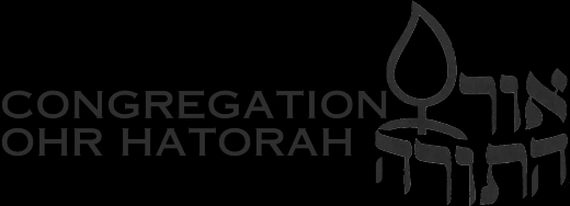 Congregation Ohr HaTorah in Bergenfield City, New Jersey, United States - #2 Photo of Point of interest, Establishment, Place of worship, Synagogue