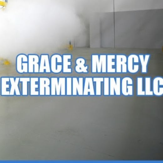 Grace & Mercy Exterminating LLC in Newark City, New Jersey, United States - #3 Photo of Point of interest, Establishment, Store, Home goods store