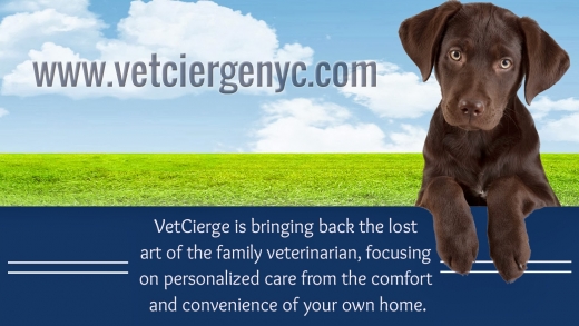 VetCierge Veterinary House Calls in New York City, New York, United States - #2 Photo of Point of interest, Establishment, Veterinary care