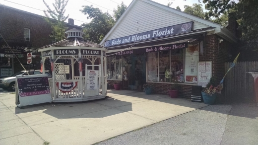 Buds and Blooms Florist in Staten Island City, New York, United States - #1 Photo of Point of interest, Establishment, Store, Florist