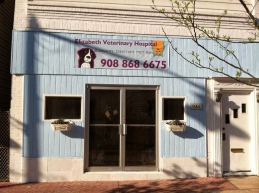 Elizabeth Veterinary Hospital in Elizabeth City, New Jersey, United States - #1 Photo of Point of interest, Establishment, Health, Veterinary care