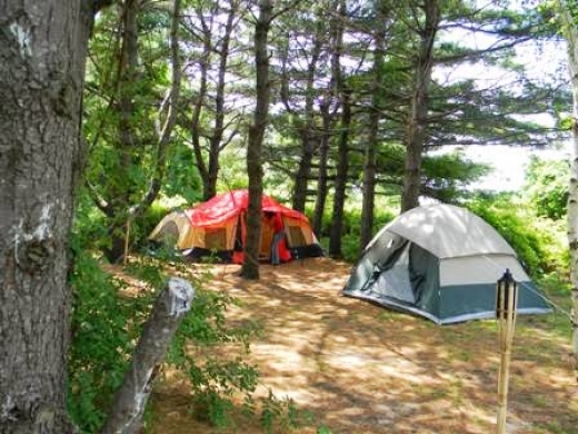 Photo by Jen C for Goldenrod & Tamarack Campgrounds