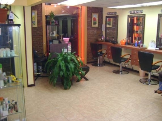 Thayer Beauty Salon in New York City, New York, United States - #1 Photo of Point of interest, Establishment, Beauty salon, Hair care