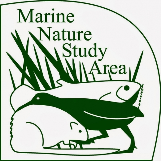 Marine Nature Study Area in Oceanside City, New York, United States - #4 Photo of Point of interest, Establishment