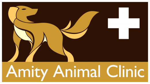 Amity Animal Clinic in Belleville City, New Jersey, United States - #2 Photo of Point of interest, Establishment, Veterinary care