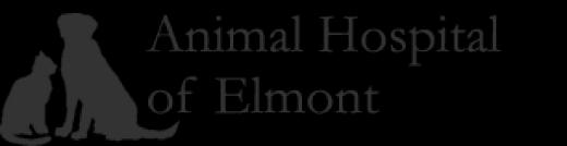 Animal Hospital of Elmont in Elmont City, New York, United States - #3 Photo of Point of interest, Establishment, Veterinary care
