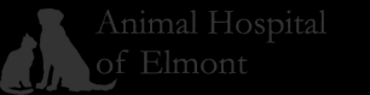 Photo by <br />
<b>Notice</b>:  Undefined index: user in <b>/home/www/activeuser/data/www/vaplace.com/core/views/default/photos.php</b> on line <b>128</b><br />
. Picture for Animal Hospital of Elmont in Elmont City, New York, United States - Point of interest, Establishment, Veterinary care