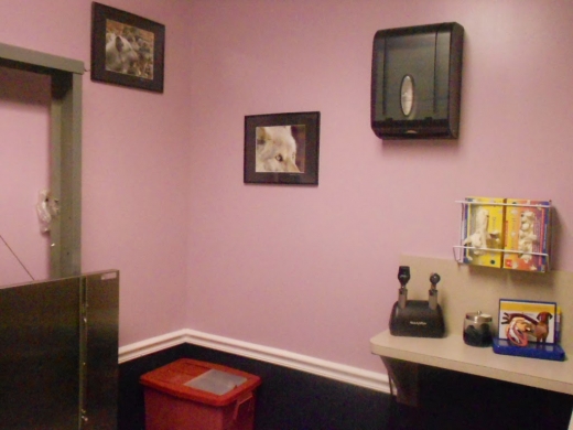 Maywood Veterinary Clinic in Maywood City, New Jersey, United States - #3 Photo of Point of interest, Establishment, Veterinary care