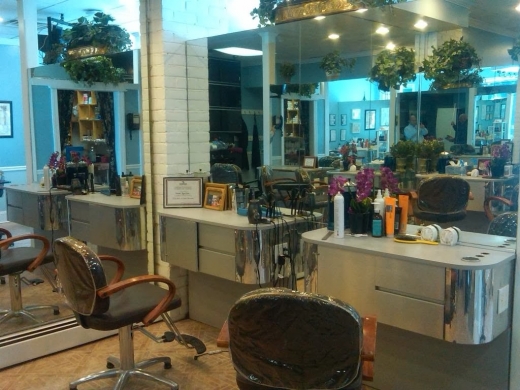 January's Salon in Locust Valley City, New York, United States - #3 Photo of Point of interest, Establishment, Beauty salon, Hair care