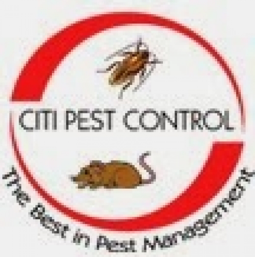 Photo by Queens Pest Control Exterminators for Queens Pest Control Exterminators
