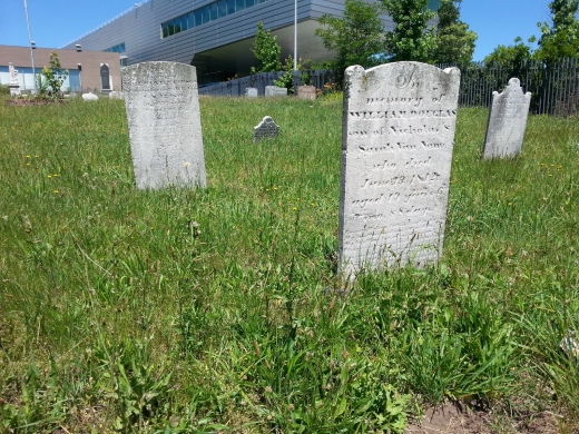 Hillside Cemetery in New York City, New York, United States - #3 Photo of Point of interest, Establishment, Cemetery