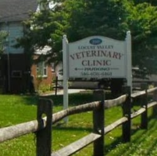 Locust Valley Veterinary Clinic in Locust Valley City, New York, United States - #3 Photo of Point of interest, Establishment, Health, Veterinary care