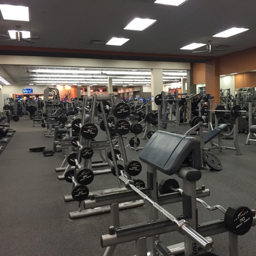 LA Fitness in Staten Island City, New York, United States - #1 Photo of Point of interest, Establishment, Health, Gym, Spa