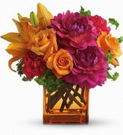 Photo by <br />
<b>Notice</b>:  Undefined index: user in <b>/home/www/activeuser/data/www/vaplace.com/core/views/default/photos.php</b> on line <b>128</b><br />
. Picture for Noah's Ark Florist in Jersey City, New Jersey, United States - Point of interest, Establishment, Store, Florist