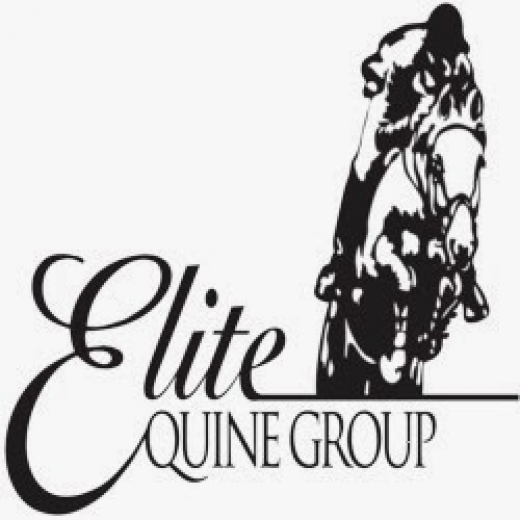 Elite Equine Group in Clifton City, New Jersey, United States - #2 Photo of Point of interest, Establishment