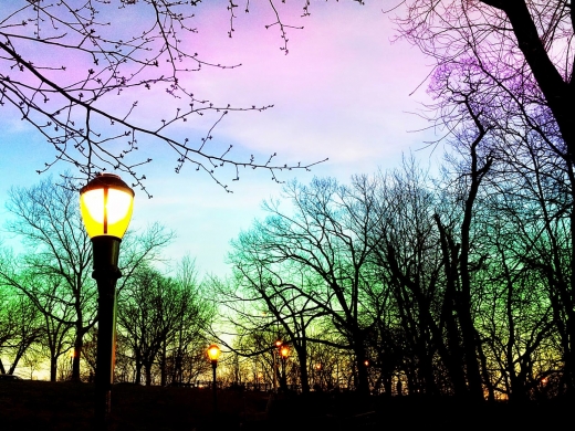 Isham Park in New York City, New York, United States - #2 Photo of Point of interest, Establishment, Park