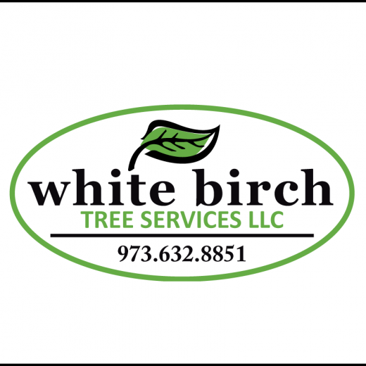 Photo by <br />
<b>Notice</b>:  Undefined index: user in <b>/home/www/activeuser/data/www/vaplace.com/core/views/default/photos.php</b> on line <b>128</b><br />
. Picture for White Birch Tree Service in Livingston City, New Jersey, United States - Point of interest, Establishment, General contractor