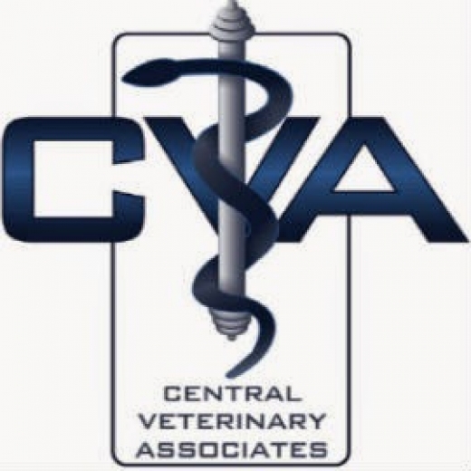 Central Veterinary Associates in Valley Stream City, New York, United States - #4 Photo of Point of interest, Establishment, Veterinary care