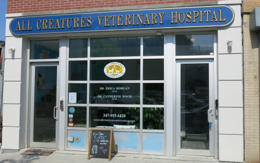 All Creatures Veterinary Hospital in New York City, New York, United States - #2 Photo of Point of interest, Establishment, Veterinary care