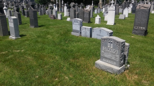 Irwin Gravesite in New York City, New York, United States - #1 Photo of Point of interest, Establishment, Cemetery