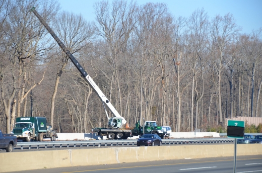 Downes Tree Service, Inc. in Hawthorne City, New Jersey, United States - #2 Photo of Point of interest, Establishment