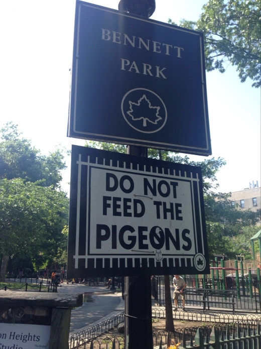 Bennett Park in New York City, New York, United States - #3 Photo of Point of interest, Establishment, Park