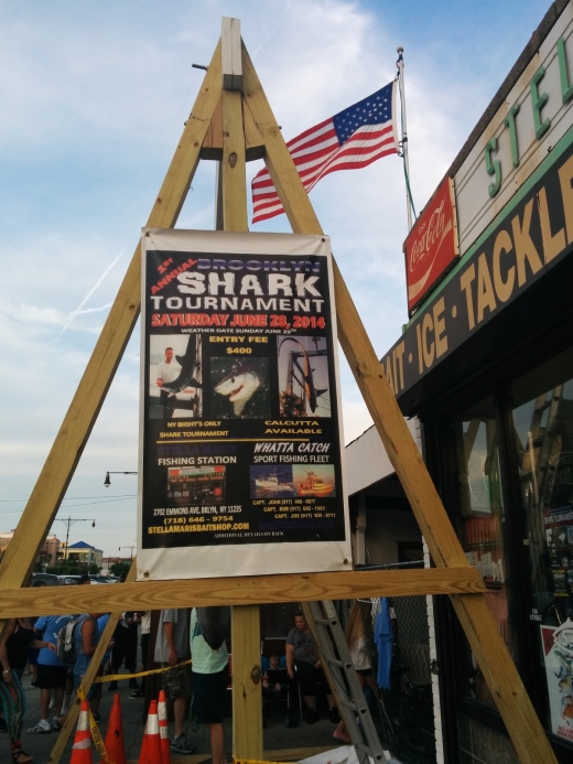 Stella Maris Bait & Tackle in Brooklyn City, New York, United States - #1 Photo of Point of interest, Establishment, Store