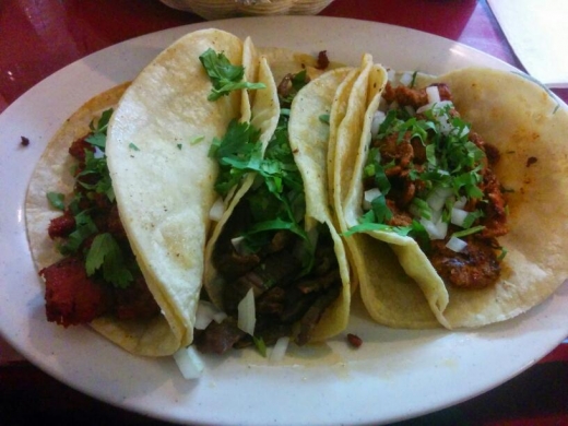 Photo by <br />
<b>Notice</b>:  Undefined index: user in <b>/home/www/activeuser/data/www/vaplace.com/core/views/default/photos.php</b> on line <b>128</b><br />
. Picture for Taqueria Puebla in Staten Island City, New York, United States - Restaurant, Food, Point of interest, Establishment
