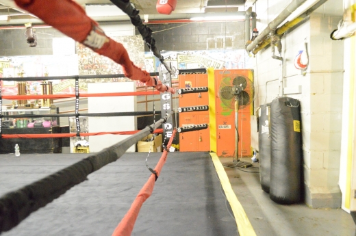 Starrett City Boxing Club in Brooklyn City, New York, United States - #4 Photo of Point of interest, Establishment, Health, Gym