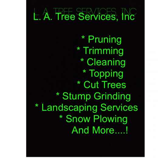 L.A. Tree Services, Inc in Hempstead City, New York, United States - #1 Photo of Point of interest, Establishment