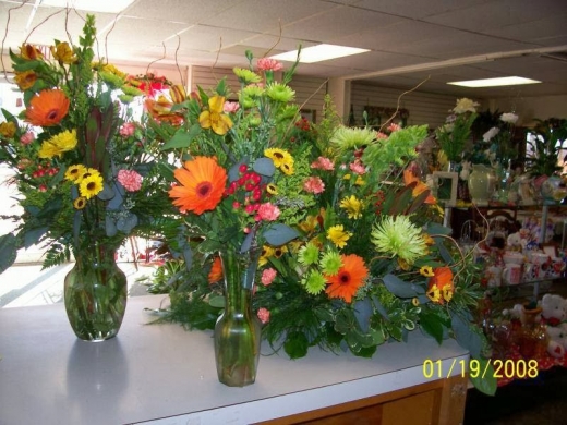 Photo by <br />
<b>Notice</b>:  Undefined index: user in <b>/home/www/activeuser/data/www/vaplace.com/core/views/default/photos.php</b> on line <b>128</b><br />
. Picture for Sam Gregorio's Florist in Staten Island City, New York, United States - Point of interest, Establishment, Store, Florist