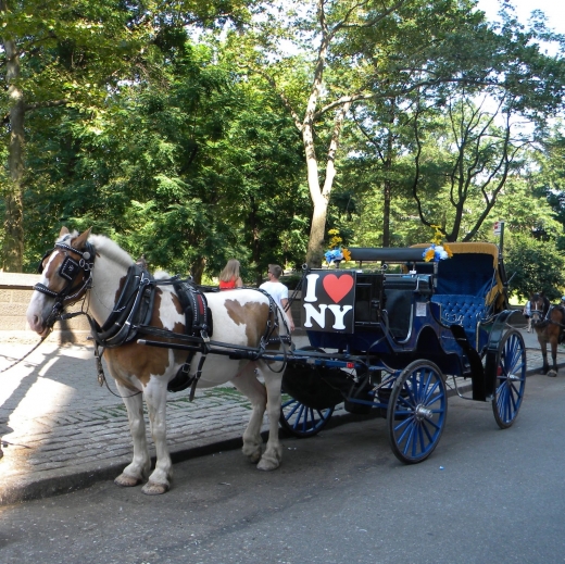 Central Park Carriage Rides in Manhattan City, New York, United States - #1 Photo of Point of interest, Establishment, Travel agency
