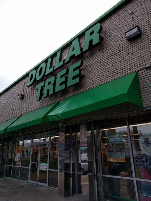 Dollar Tree in Kings County City, New York, United States - #1 Photo of Food, Point of interest, Establishment, Store, Home goods store