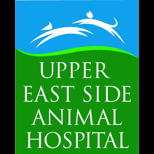 Upper East Side Animal Hospital in New York City, New York, United States - #2 Photo of Point of interest, Establishment, Veterinary care