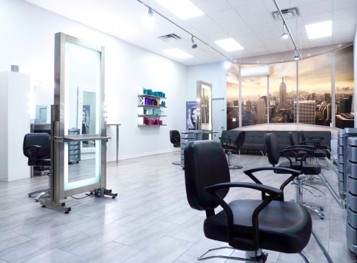 Zebra Hair Salon in Kings County City, New York, United States - #1 Photo of Point of interest, Establishment, Beauty salon