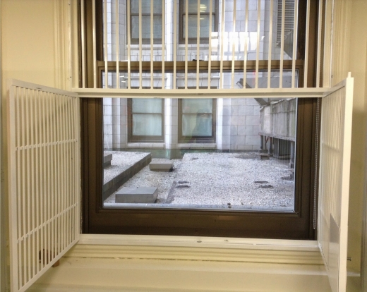 Photo by BOB T for Easy Out Fire Escape Window Gates
