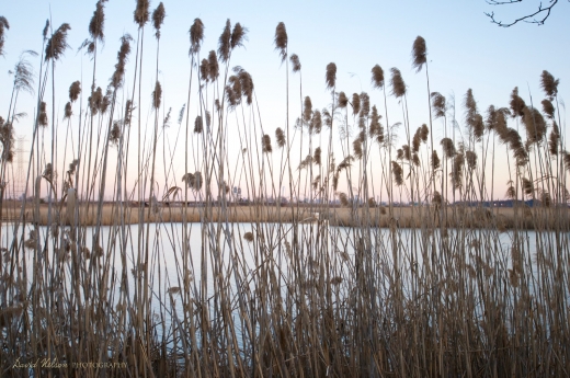 Meadowlands Environment Center in Lyndhurst City, New Jersey, United States - #4 Photo of Point of interest, Establishment, Travel agency