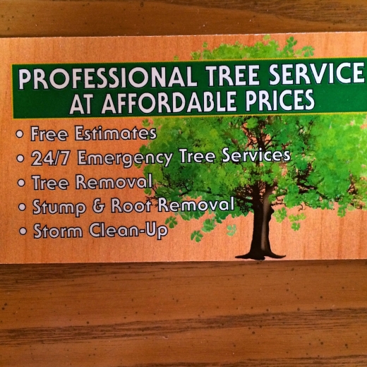 Solid Oak Professional Tree Service in Staten Island City, New York, United States - #2 Photo of Point of interest, Establishment