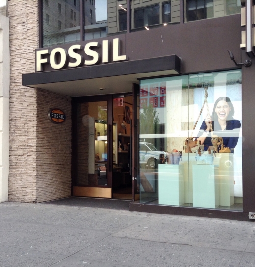 Fossil Store in New York City, New York, United States - #3 Photo of Point of interest, Establishment, Store