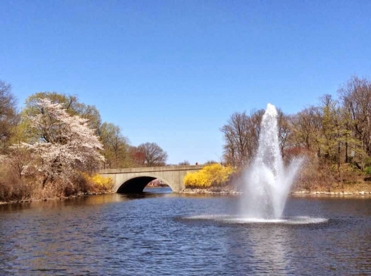 Branch Brook Park in Newark City, New Jersey, United States - #2 Photo of Point of interest, Establishment, Park