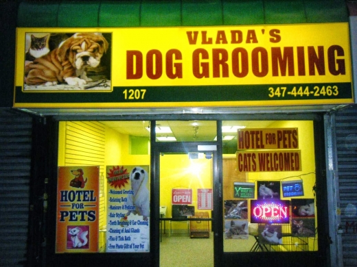 Vladas Pet Grooming & Boarding in Kings County City, New York, United States - #1 Photo of Point of interest, Establishment
