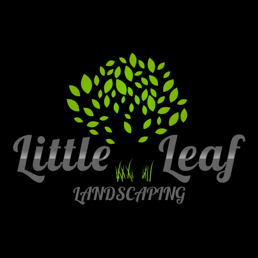 Little Leaf Landscaping LLC. in Kings County City, New York, United States - #3 Photo of Point of interest, Establishment, General contractor