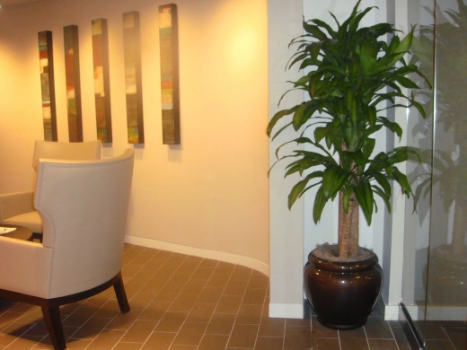 Photo by Plant Pros Interior Plantscapes for Plant Pros Interior Plantscapes