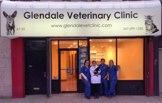 Glendale Veterinary Clinic in Glendale City, New York, United States - #1 Photo of Point of interest, Establishment, Veterinary care