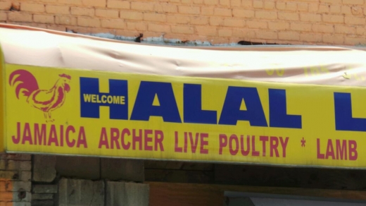 Jamaica-Archer Live Poultry & Meat Market in Queens City, New York, United States - #2 Photo of Food, Point of interest, Establishment, Store