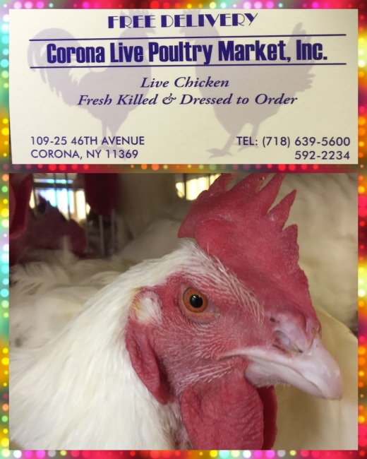 Photo by Grace J for Corona Live Poultry Market, Inc.