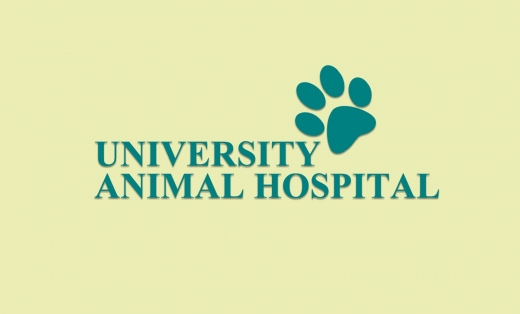 Photo by University Animal Hospital for University Animal Hospital