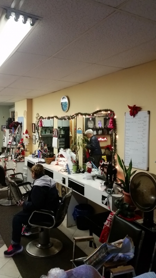Zaida Unisex Salon in Kings County City, New York, United States - #1 Photo of Point of interest, Establishment, Beauty salon