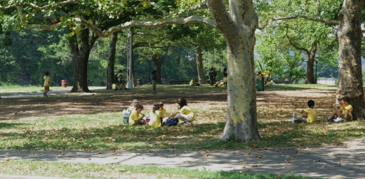 Inwood Hill Park in New York City, New York, United States - #3 Photo of Point of interest, Establishment, Park