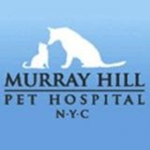 Murray Hill Pet Hospital in New York City, New York, United States - #3 Photo of Point of interest, Establishment, Veterinary care